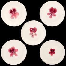 John Derian Small Pelargonium Plate by Astier de Villatte, B2B product view