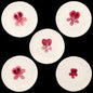 John Derian Small Pelargonium Plate by Astier de Villatte, B2B product view