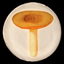 John Derian Small Agaric Sapid Plate by Astier de Villatte, B2B product view