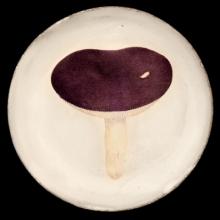 John Derian Small Agaric Emetique Plate by Astier de Villatte, B2B product view
