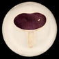 John Derian Small Agaric Emetique Plate by Astier de Villatte, B2B product view