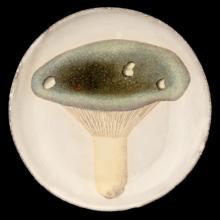 John Derian Small Agaric Fourchu Plate by Astier de Villatte, B2B product view