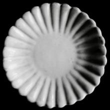 Marguerite Saucer for Tea Cup, set of 6 by Astier de Villatte, B2B view on black background