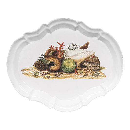 Shells 1754 Platter, John Derian | Astier de Villatte