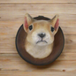 Squirrel Plaque