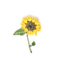 Sunflower hand-embroidered brooch by Trovelore at BON TON goods