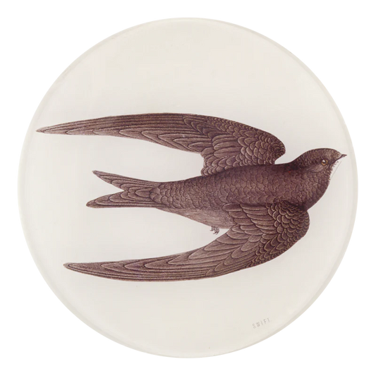 Swift Bird (Swallow) | John Derian