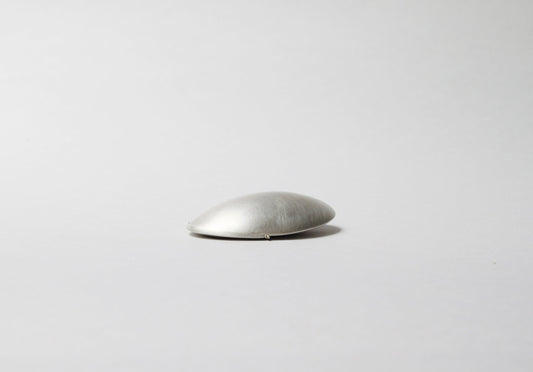 Silver Tortoise Pill Box