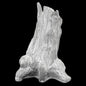 Setsuko Large Tree Vase | Astier de Villatte: Exclusive Pre-Order Item