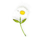 White Daisy Brooch Pin | Trovelore