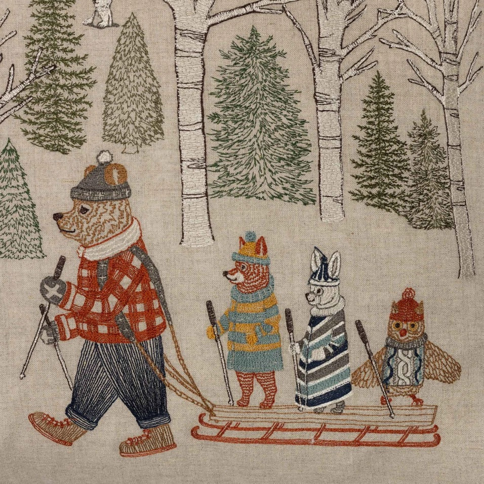 Winter Fun Pillow | Coral & Tusk