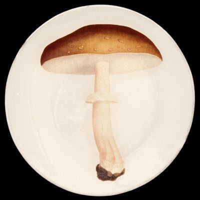 Agaric Blanc Fauve Dinner Plate, John Derian | Astier de Villatte: Exclusive Pre-Order Item - Bon Ton goods