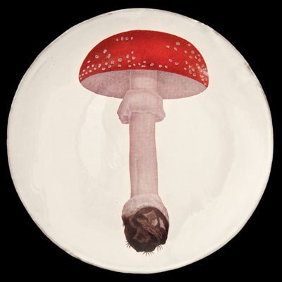 Agaric Fausse Oronge Umbrella Dinner Plate, John Derian - Bon Ton goods