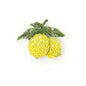 Amalfi Lemons Brooch Pin | Trovelore - Bon Ton goods