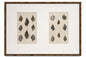 Antique Swedish Hand-Colored Shell Etchings, Framed - Bon Ton goods