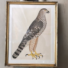 Load image into Gallery viewer, ANTIQUE WOODEN FRAMED BIRD PRINT 1. - Bon Ton goods
