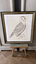 Load image into Gallery viewer, ANTIQUE WOODEN FRAMED BIRD PRINT 2. - Bon Ton goods
