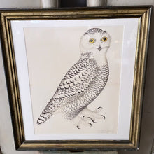Load image into Gallery viewer, ANTIQUE WOODEN FRAMED BIRD PRINT 2. - Bon Ton goods
