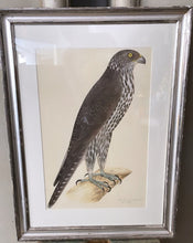 Load image into Gallery viewer, ANTIQUE WOODEN FRAMED BIRD PRINT 4. - Bon Ton goods
