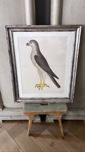 Load image into Gallery viewer, ANTIQUE WOODEN FRAMED BIRD PRINT 5. - Bon Ton goods
