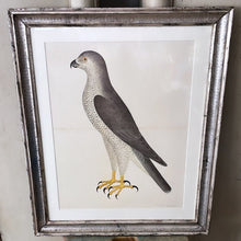 Load image into Gallery viewer, ANTIQUE WOODEN FRAMED BIRD PRINT 5. - Bon Ton goods
