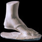 Aphrodite Left Foot | Astier de Villatte: Exclusive Pre-Order Item - Bon Ton goods