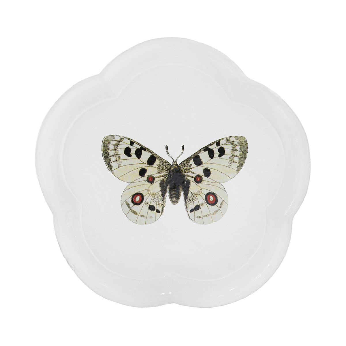 John Derian Apollo Butterfly Dinner Plate, set of 6 by Astier de Villatte, official product view