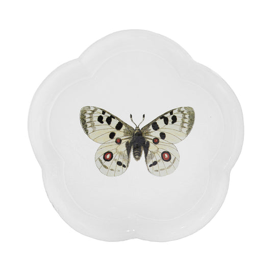John Derian Apollo Butterfly Dinner Plate, set of 6 by Astier de Villatte, official product view