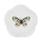 John Derian Apollo Butterfly Dinner Plate, set of 6 by Astier de Villatte, official product view