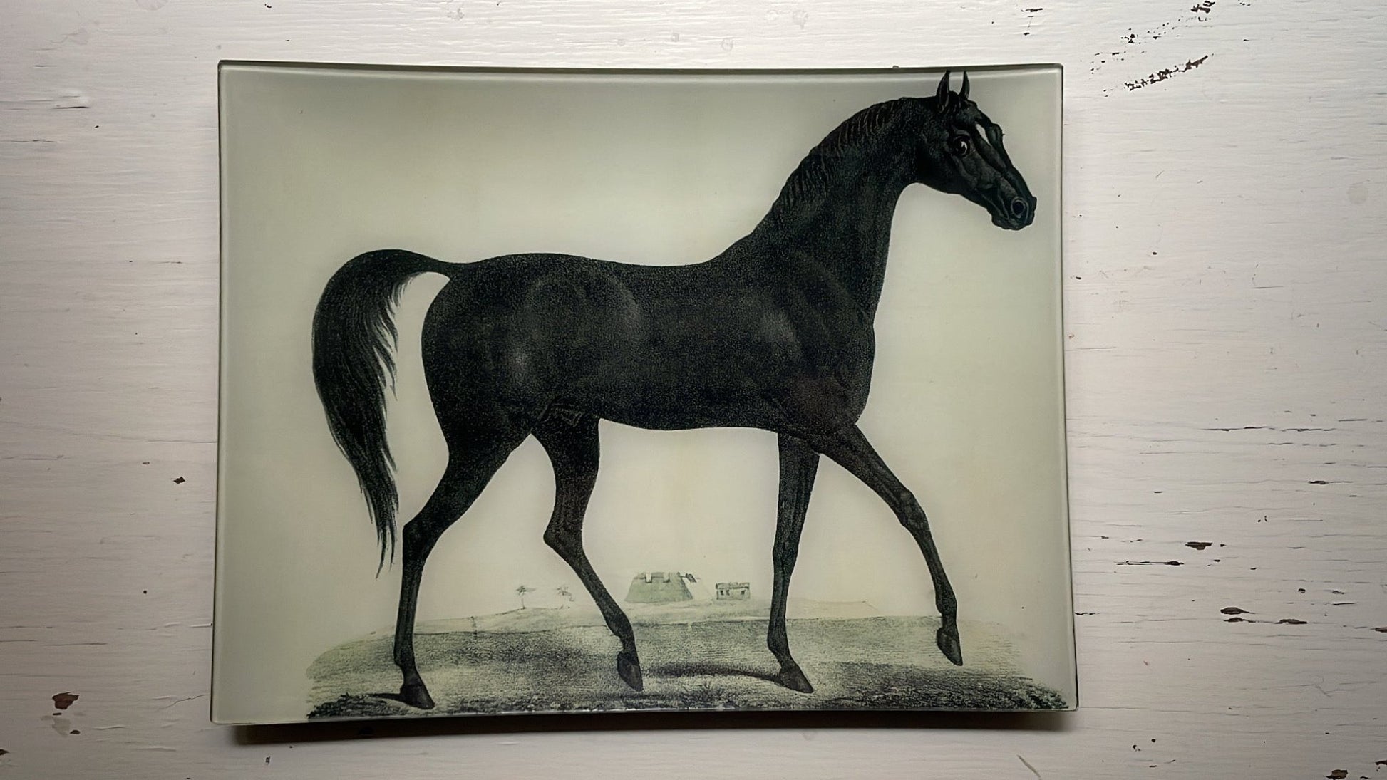 Arabian Horse | John Derian - Bon Ton goods