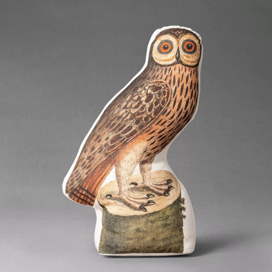 Barn Owl Novelty Plush Pillow | John Derian - Bon Ton goods