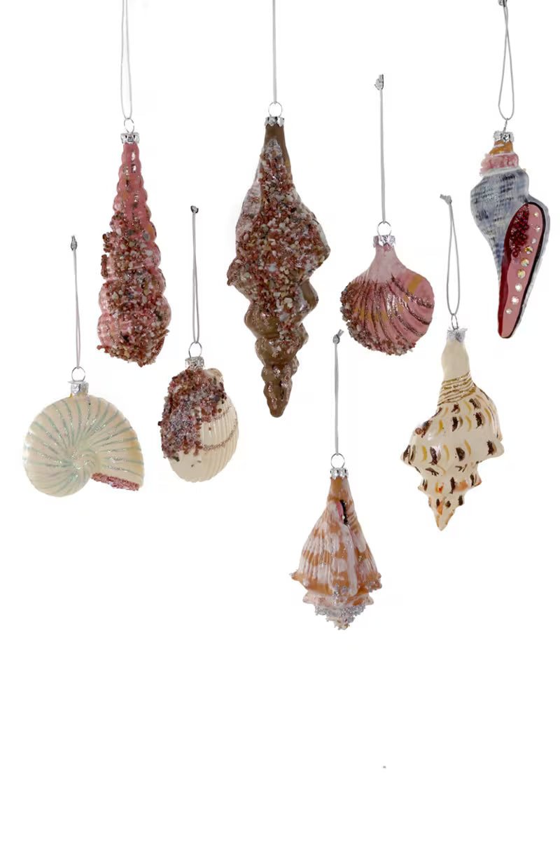 Beachcomber Glass Shell Ornaments – Set of 8 Styles - Bon Ton goods