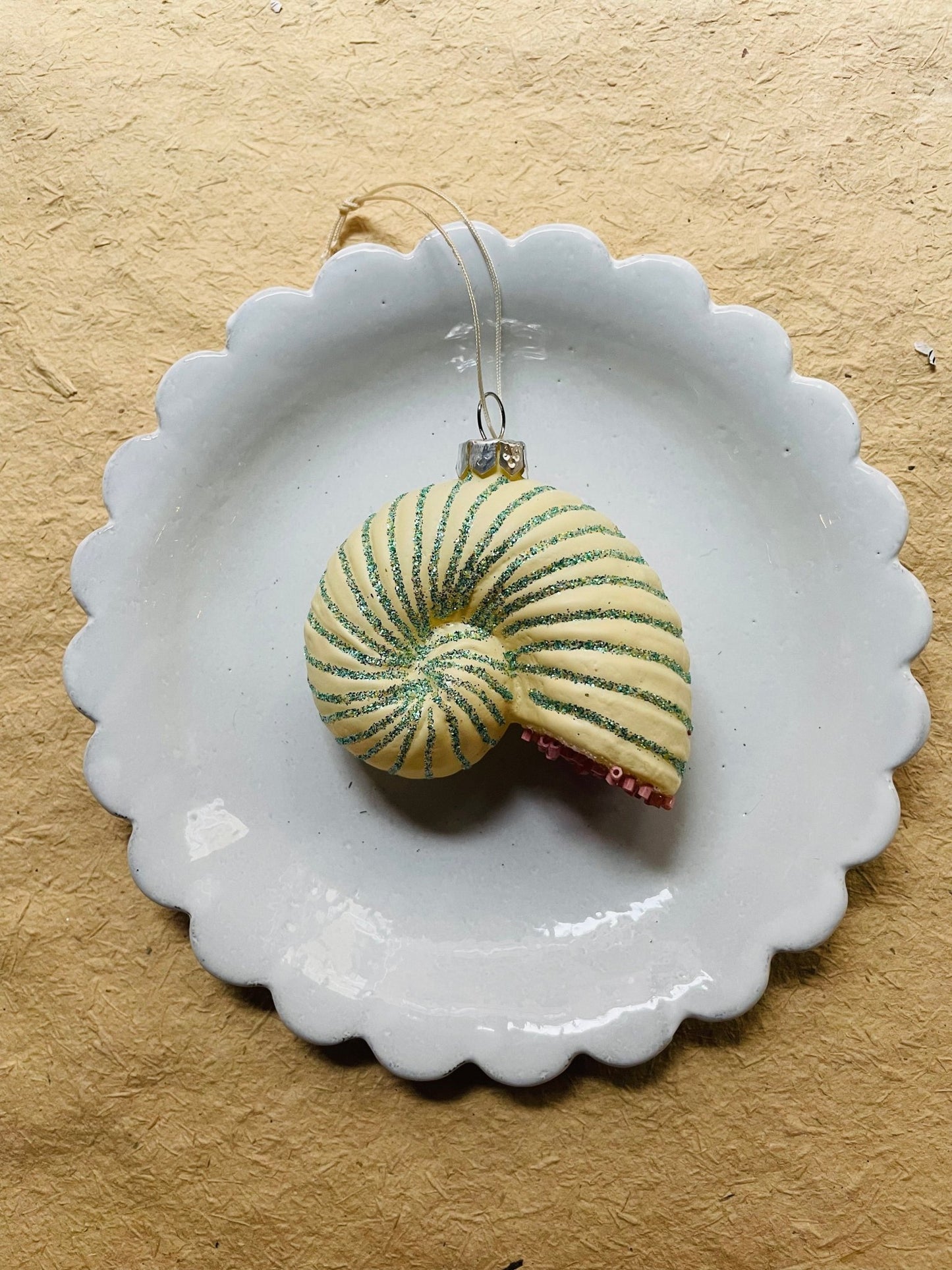 Beachcomber Glass Shell Ornaments – Set of 8 Styles - Bon Ton goods