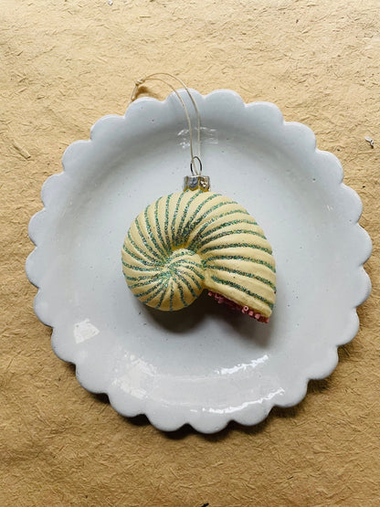 Beachcomber Glass Shell Ornaments – Set of 8 Styles - Bon Ton goods