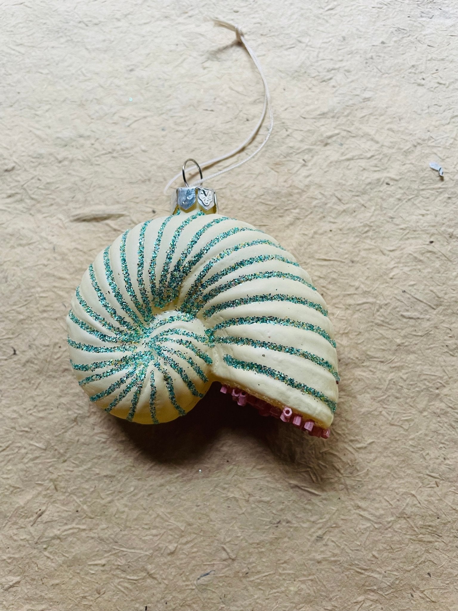 Beachcomber Glass Shell Ornaments – Set of 8 Styles - Bon Ton goods