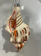 Beachcomber Glass Shell Ornaments – Set of 8 Styles - Bon Ton goods