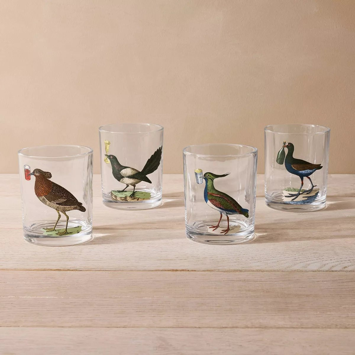 Bird Highball Cocktail Glass Set | John Derian - Bon Ton goods