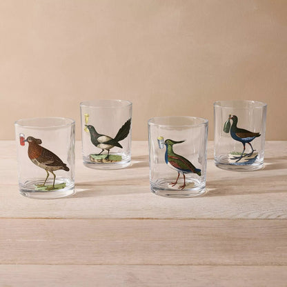 Bird Highball Cocktail Glass Set | John Derian - Bon Ton goods