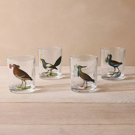 Bird Highball Cocktail Glass Set | John Derian - Bon Ton goods