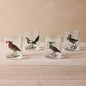 Bird Highball Cocktail Glass Set | John Derian - Bon Ton goods