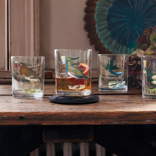 Bird Highball Cocktail Glass Set | John Derian - Bon Ton goods