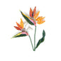 Bird of Paradise Flower Brooch Pin | Trovelore - Bon Ton goods