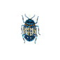 Blue Mint Beetle Brooch Pin | Trovelore - Bon Ton goods