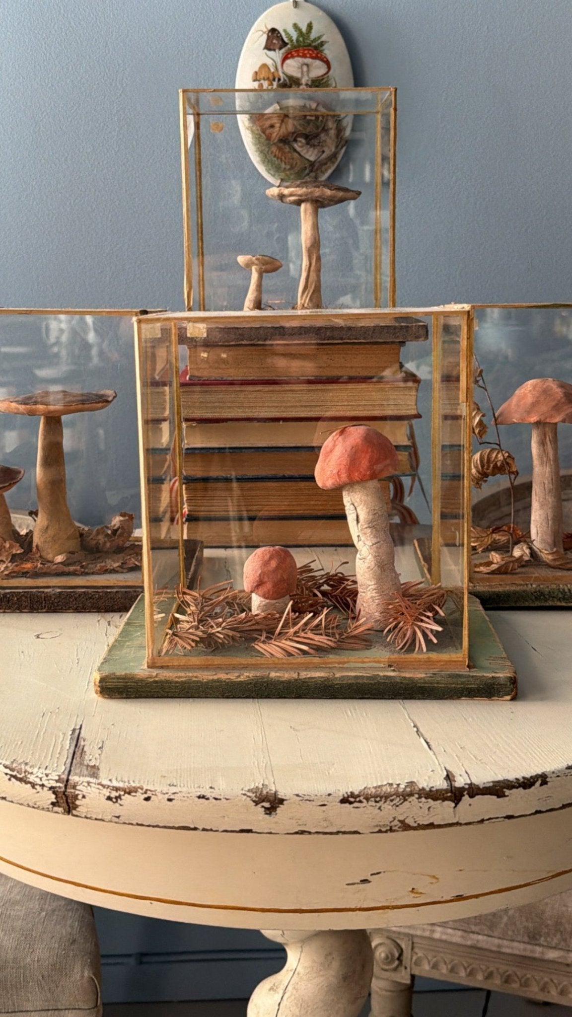 Bohemian Natural History Diorama I: Woodland Mushroom Study - Bon Ton goods
