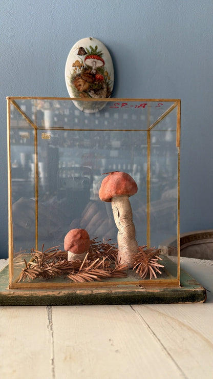 Bohemian Natural History Diorama I: Woodland Mushroom Study - Bon Ton goods