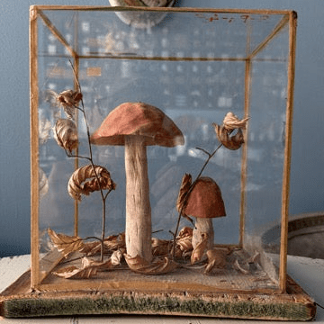 Bohemian Natural History Diorama II: Woodland Mushroom Study - Bon Ton goods