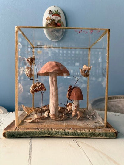 Bohemian Natural History Diorama II: Woodland Mushroom Study - Bon Ton goods