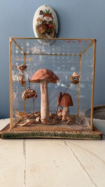 Bohemian Natural History Diorama II: Woodland Mushroom Study - Bon Ton goods