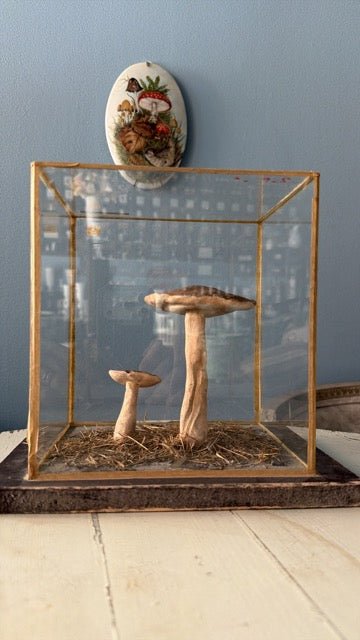 Bohemian Natural History Diorama III: Forest Mushroom Study - Bon Ton goods