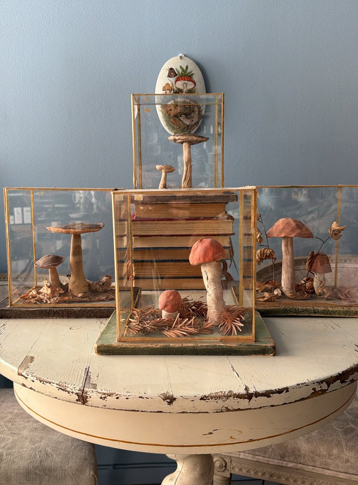Bohemian Natural History Diorama IV: Woodland Mushroom Specimen - Bon Ton goods